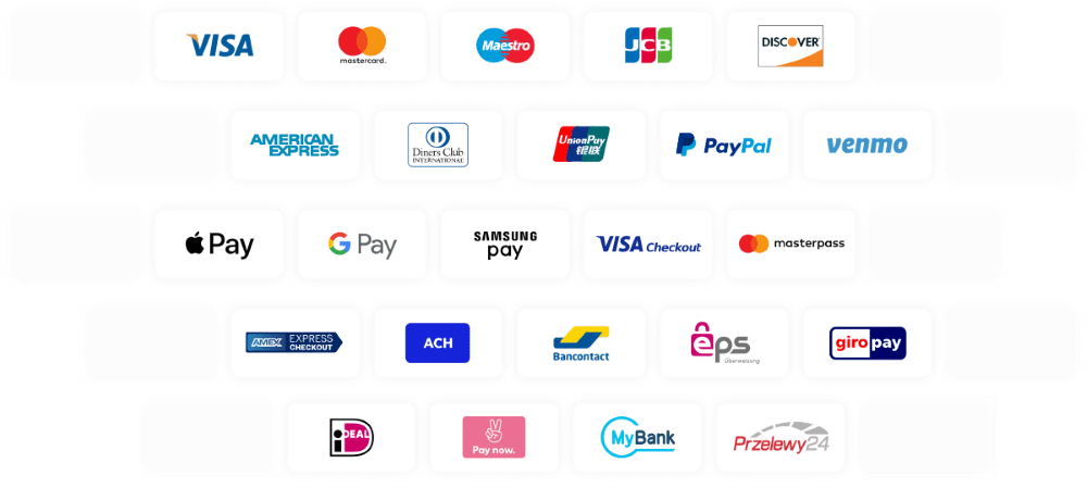 Braintree payment options
